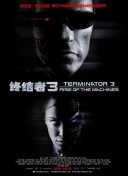 绝对领主角色发展：选择最佳职业路线